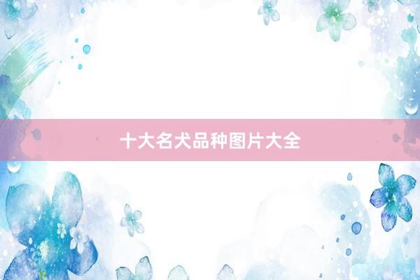 十大名犬品种图片大全