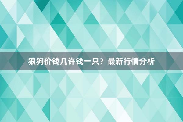 狼狗价钱几许钱一只？最新行情分析