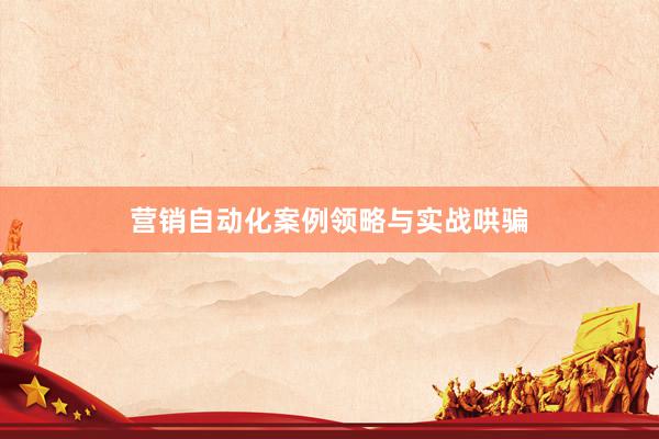 营销自动化案例领略与实战哄骗