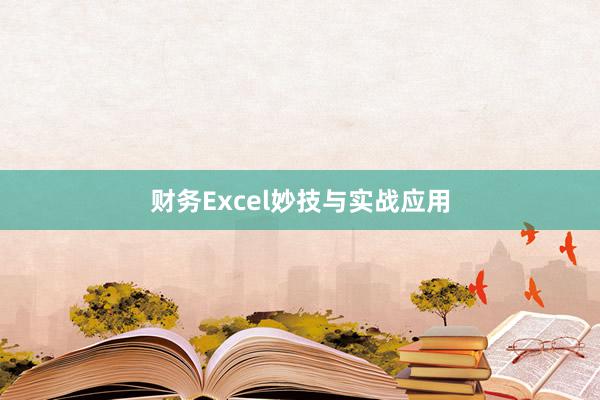 财务Excel妙技与实战应用